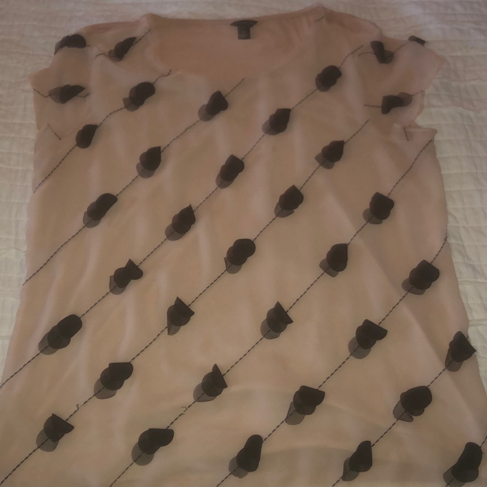 Ann Taylor tee shirt/ blouse